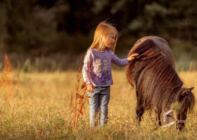 Ein Kind streichelt Mini-Shetty Herkules auf der Sommerwiese