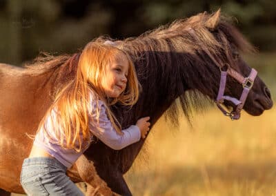 Ein Kind schmiegt sich im Abendlicht an Mini-Shetty Herkules