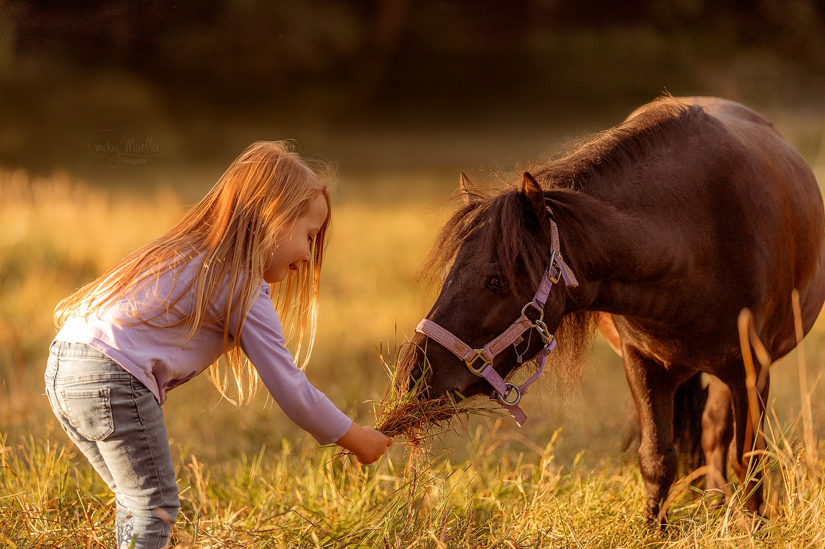 Kind füttert ein Pony auf der Wiese