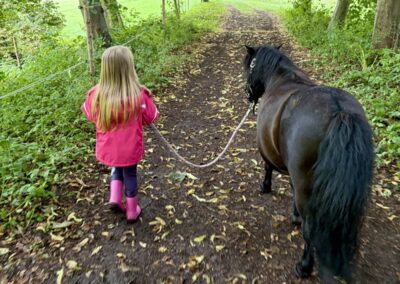 Ein Kind führt Mini-Shetty Herkules über einen Feldweg